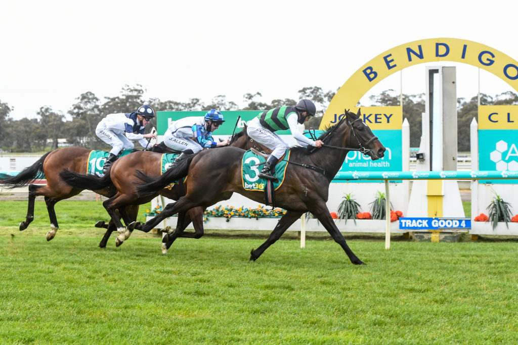 /r1/ | Just Horse Racing