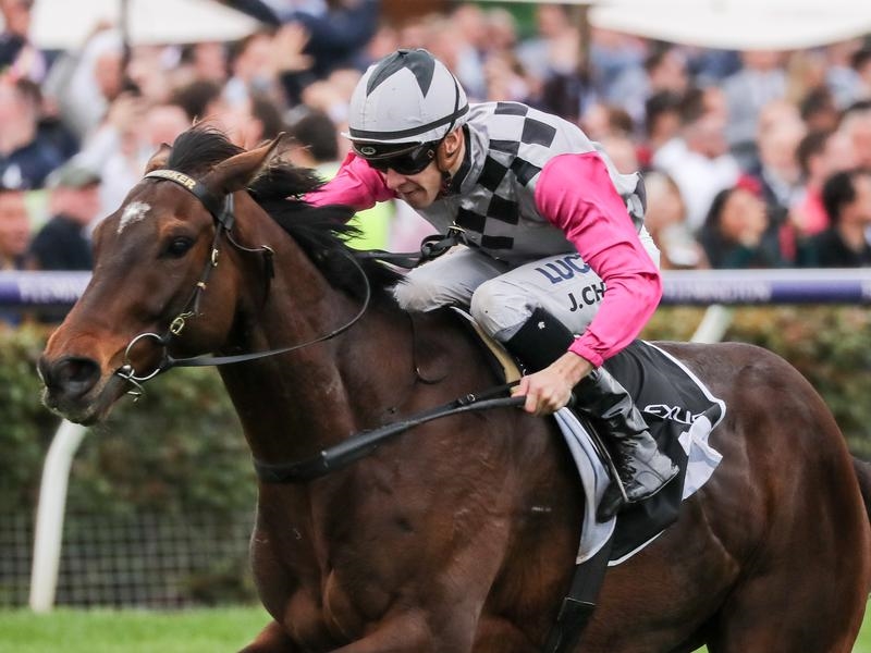 Flemington | Just Horse Racing