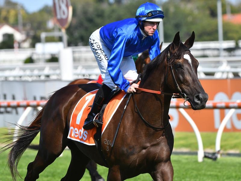 Gallops Godolphin | Just Horse Racing