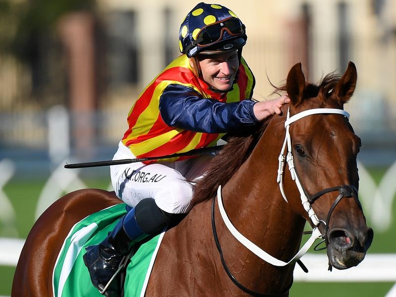 Gallops Waller | Just Horse Racing