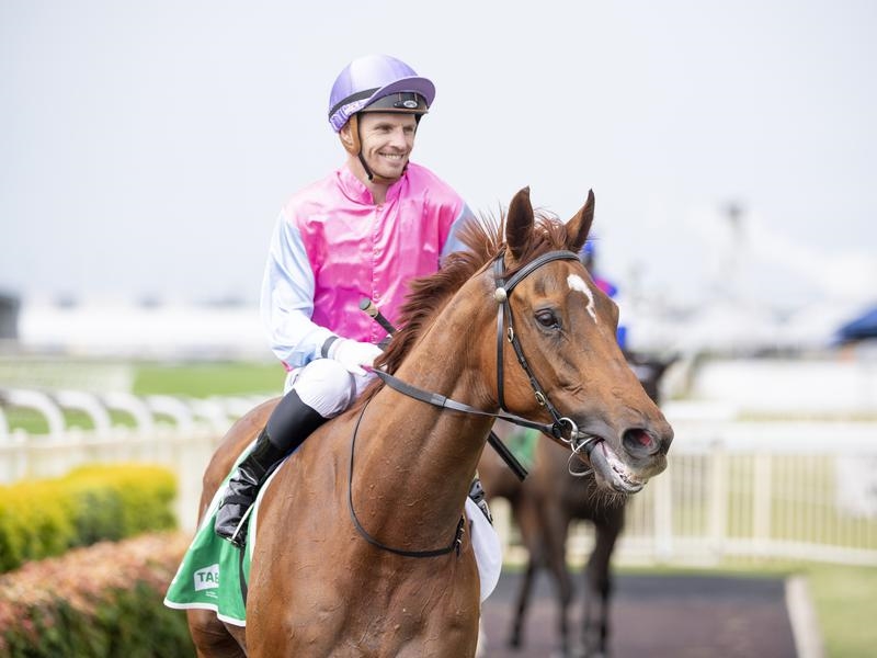 Gold Coast | Just Horse Racing