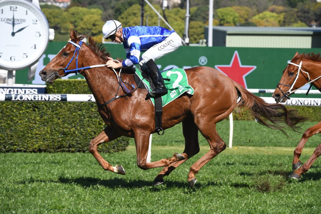 Gytrash 05092020 9254 | Just Horse Racing