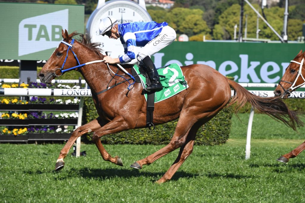 Gytrash 05092020 9255 | Just Horse Racing