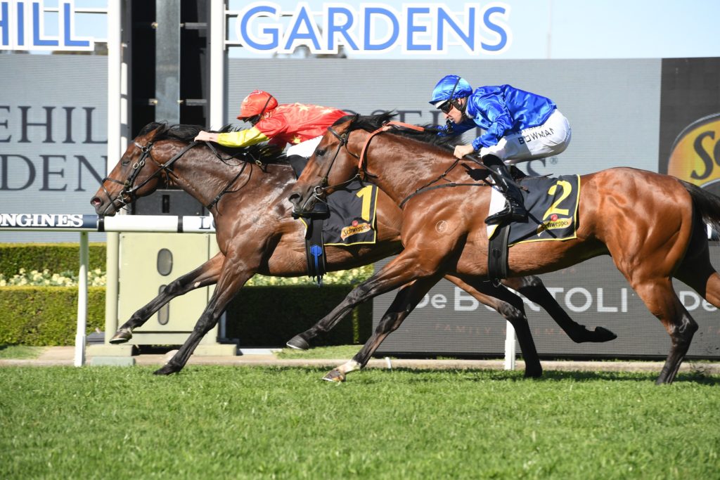 Wild Ruler 26092020 5149 | Just Horse Racing