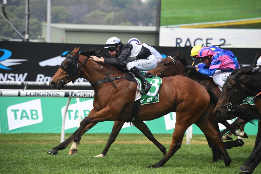 Air Marshal 17102020 9742 | Just Horse Racing