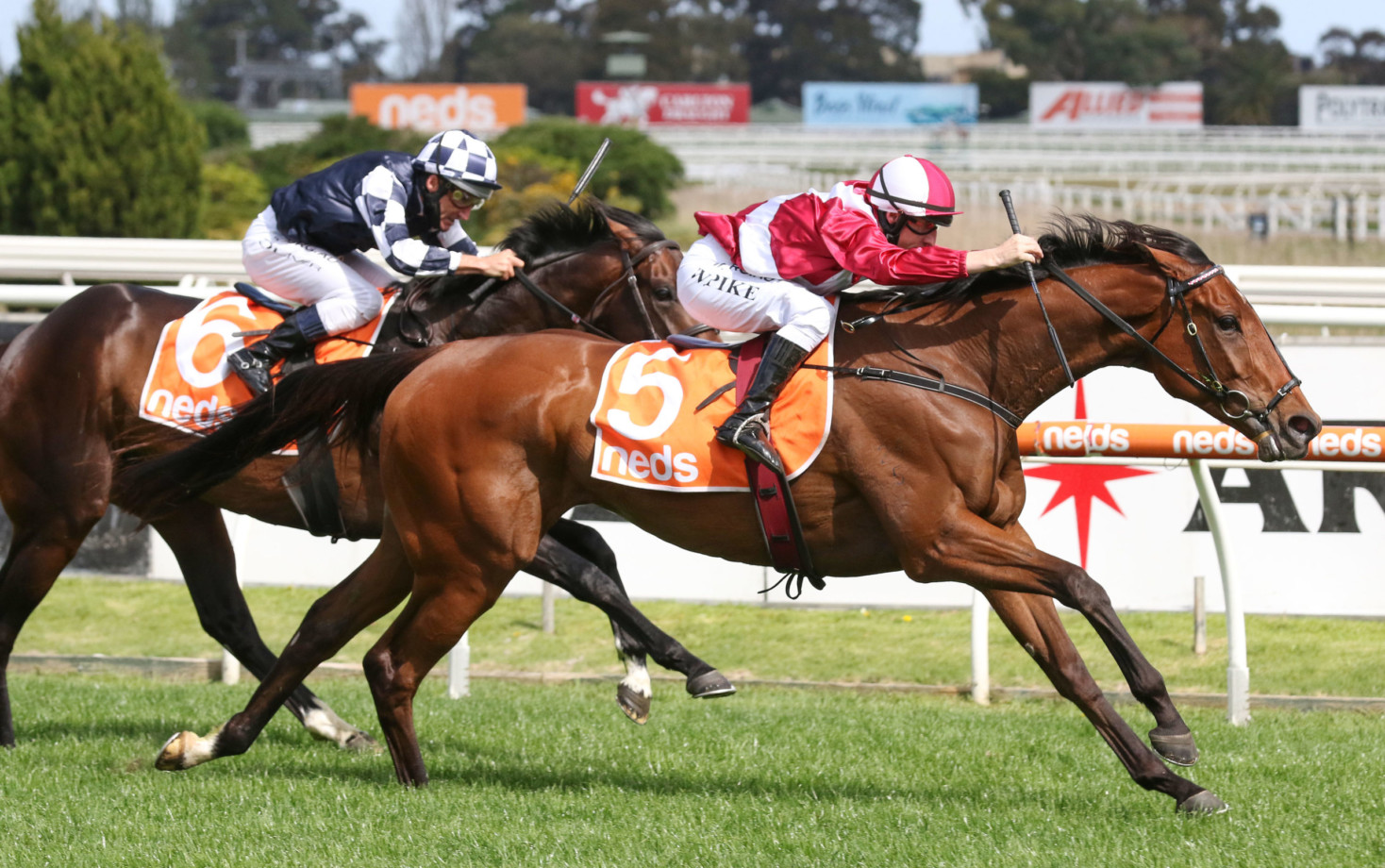caulfield stakes odds