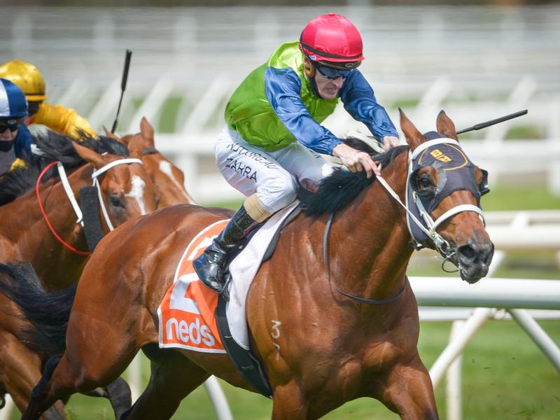 CAULFIELD ALBARADO | Just Horse Racing