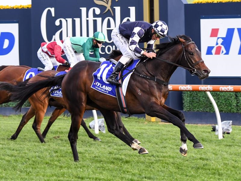 CAULFIELD Camelot | Just Horse Racing