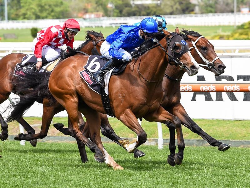 CAULFIELD ENDANGER | Just Horse Racing