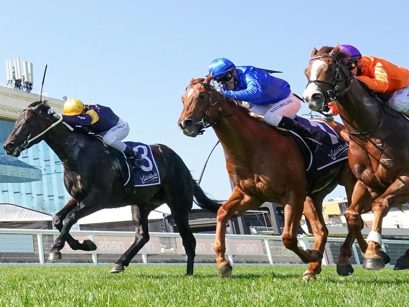 CAULFIELD RANTING | Just Horse Racing