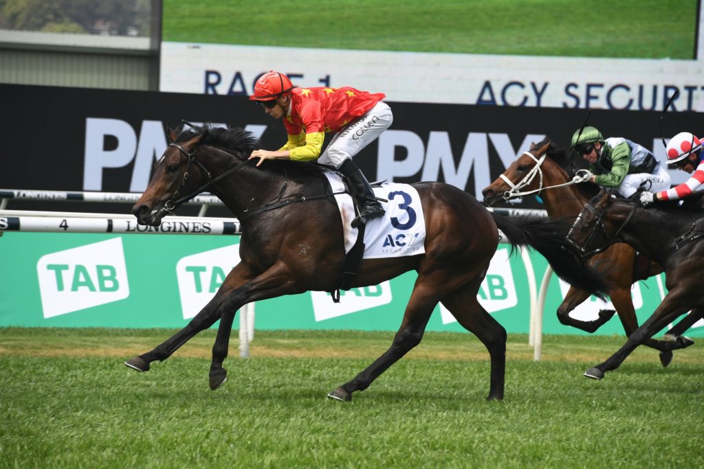 Captivant 17102020 9541 | Just Horse Racing