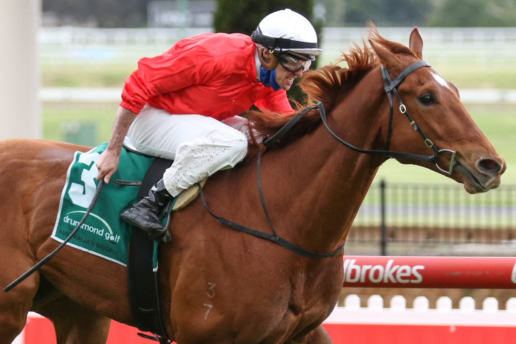 Cherry Tortoni a 'different class' in the Adelaide Guineas - Vimarsana News