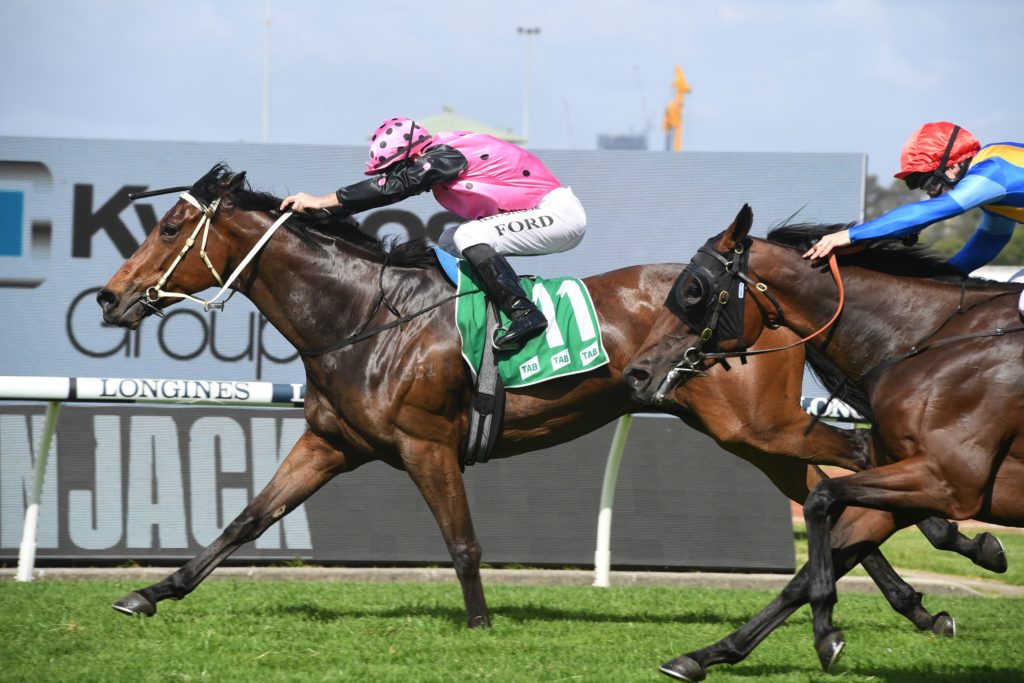 Costello 31102020 2936 | Just Horse Racing