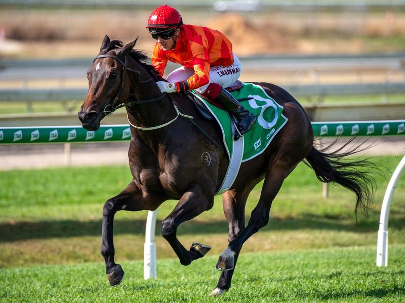 Doomben | Just Horse Racing