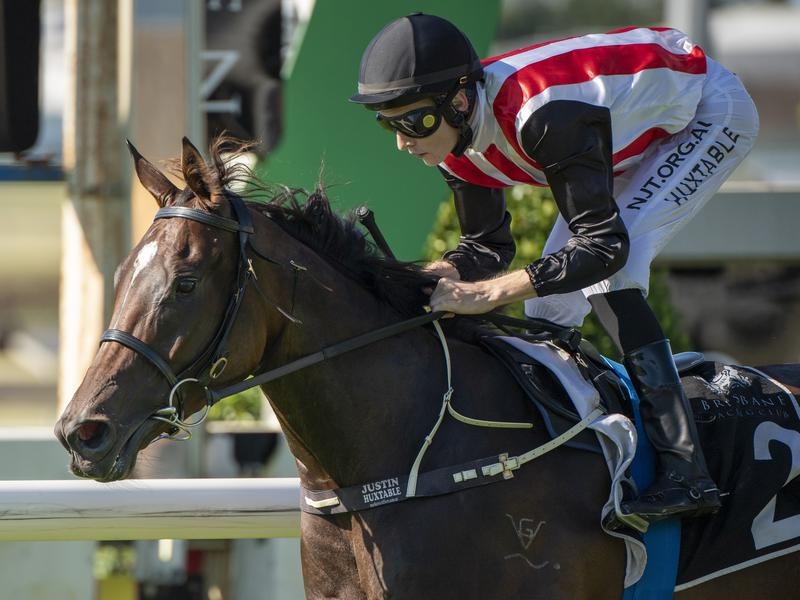 Doomben | Just Horse Racing