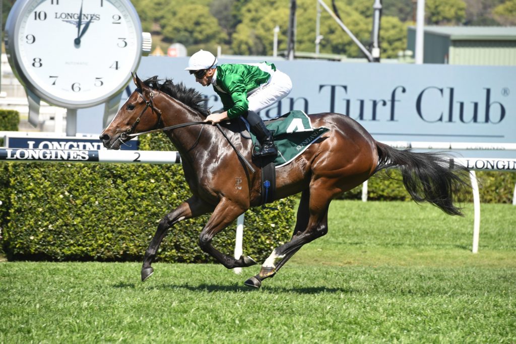 Enthaar 03102020 7026 | Just Horse Racing