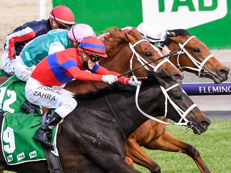 FLEMINGTON | Just Horse Racing