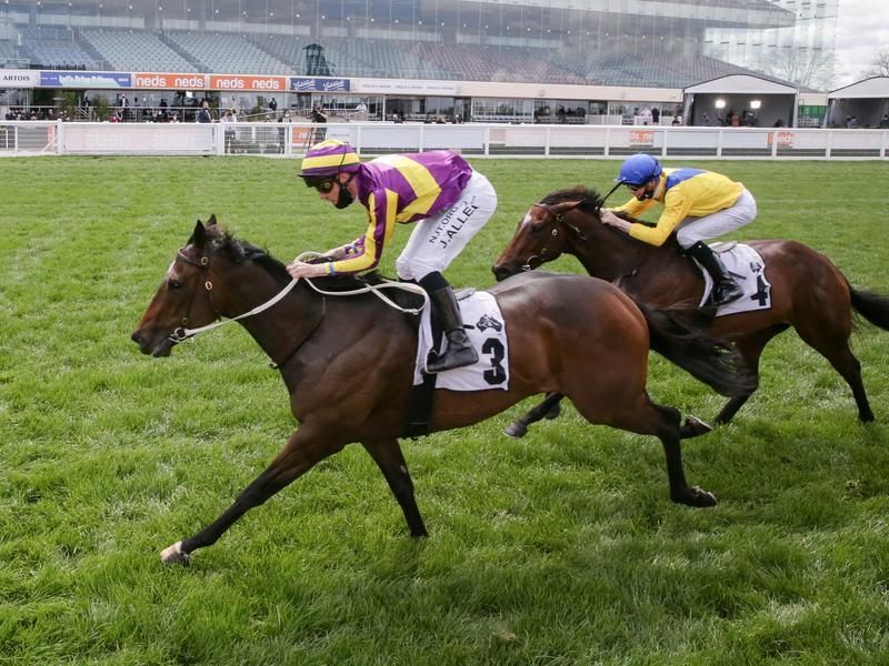 FLEMINGTON | Just Horse Racing