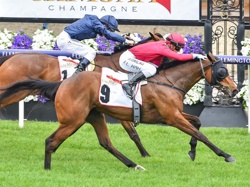 FLEMINGTON Quay | Just Horse Racing