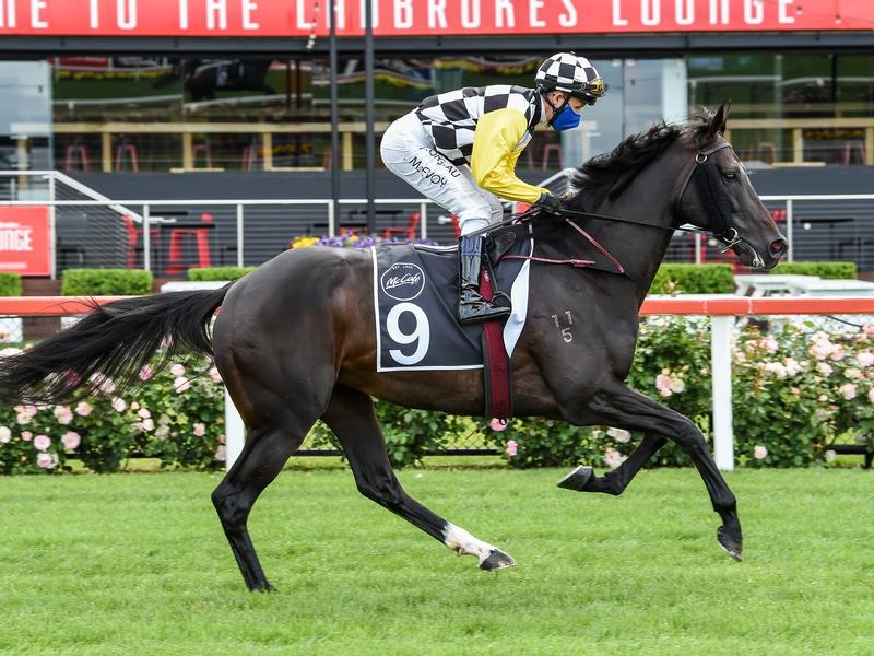 Flemington Carif | Just Horse Racing