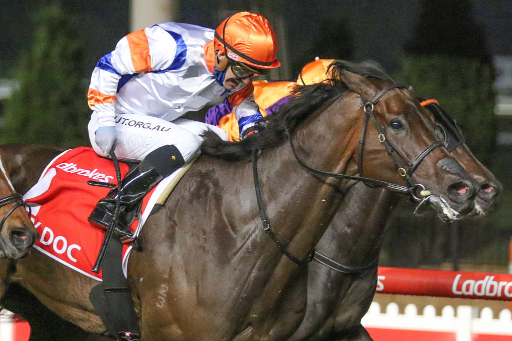 Hey Doc,Manikato Stakes,Group 1_23-10-2020_WIN_Moonee Valley_8__871 | Just Horse Racing