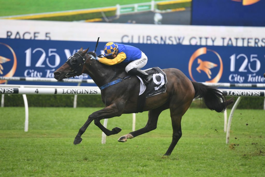 Knights Order 24102020 1889 | Just Horse Racing