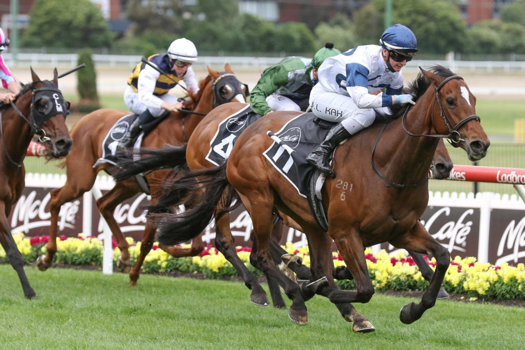 Miami Bound,Moonee Valley Gold Cup,Group 2_24-10-2020_WIN_Moonee Valley_8__1643 | Just Horse Racing