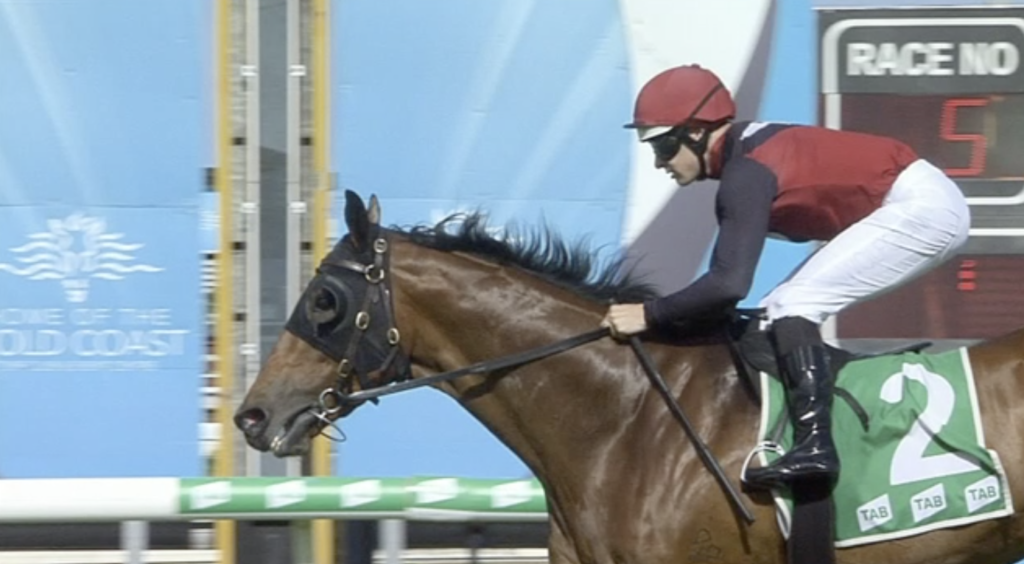 Olympic Class | Just Horse Racing