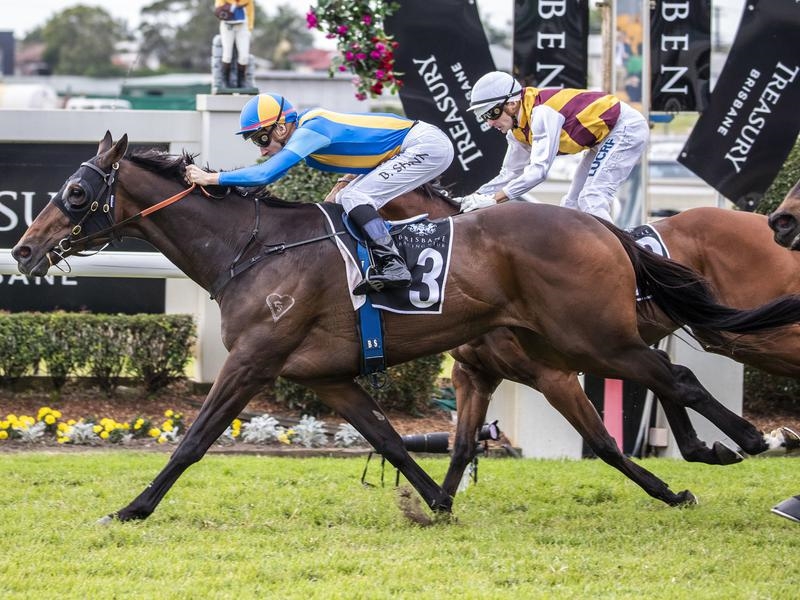 Randwick Kosciuszko | Just Horse Racing