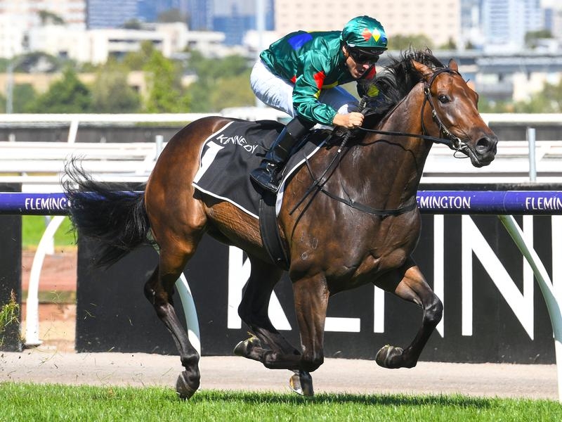 Rosehill | Just Horse Racing