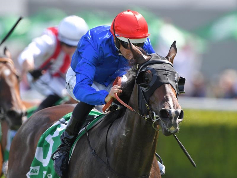 Rosehill | Just Horse Racing