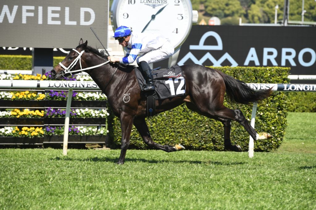 Shaquero 03102020 7182 | Just Horse Racing