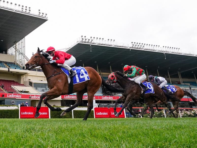 VALLEY SNEAKY | Just Horse Racing