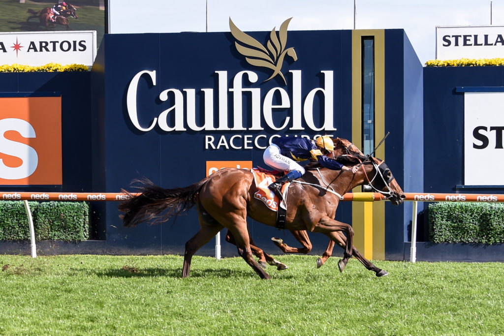 /r8/ | Just Horse Racing
