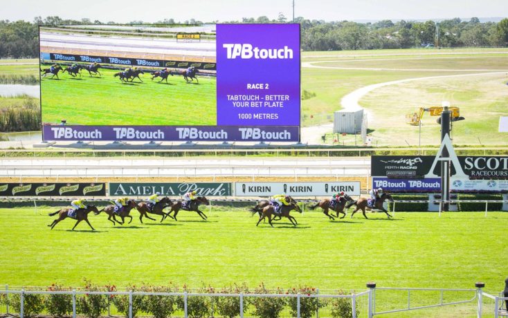 Ascot tips