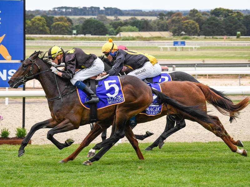 BALLARAT CLOCKWISE | Just Horse Racing