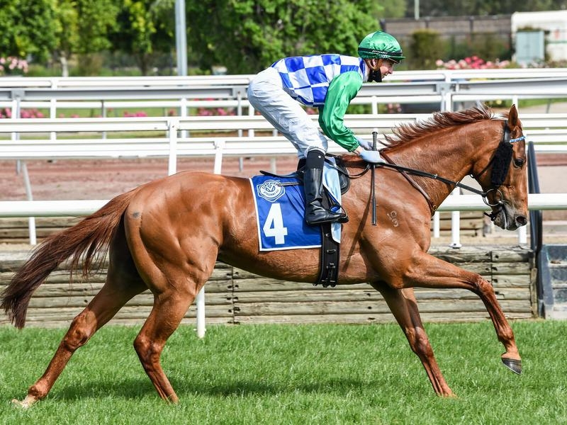Ballarat | Just Horse Racing