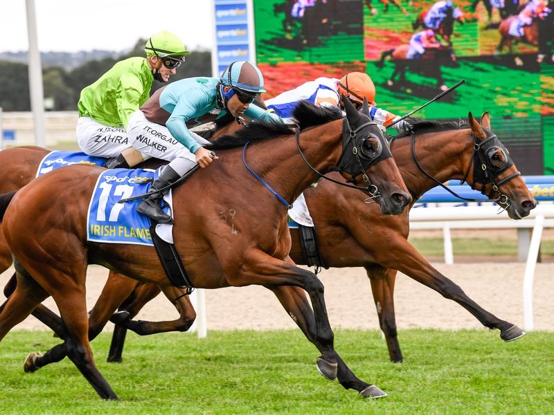 Ballarat | Just Horse Racing