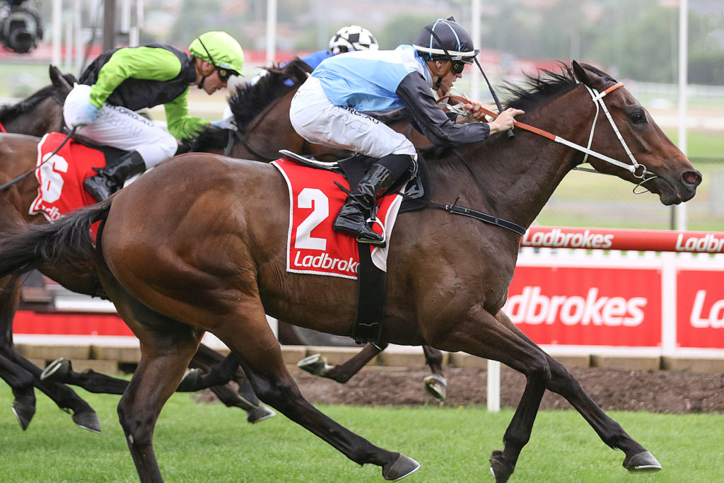 Bandersnatch_28-11-2020_WIN_Moonee Valley_9__1684 | Just Horse Racing