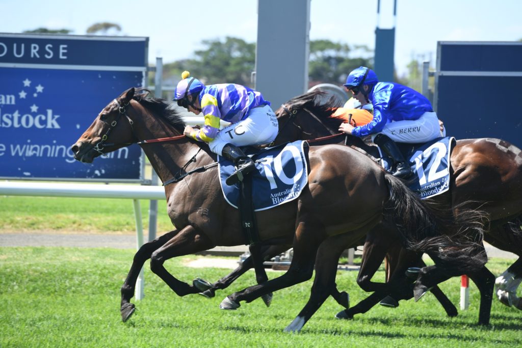 Bring The Ransom 14112020 6626 | Just Horse Racing
