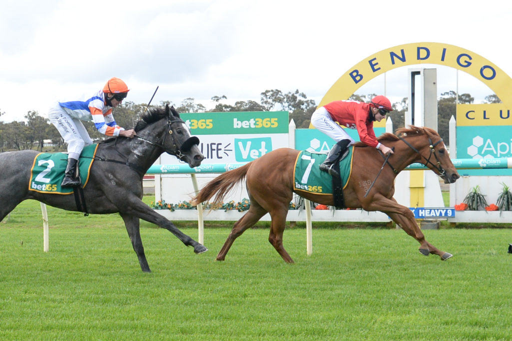 /r1/ | Just Horse Racing