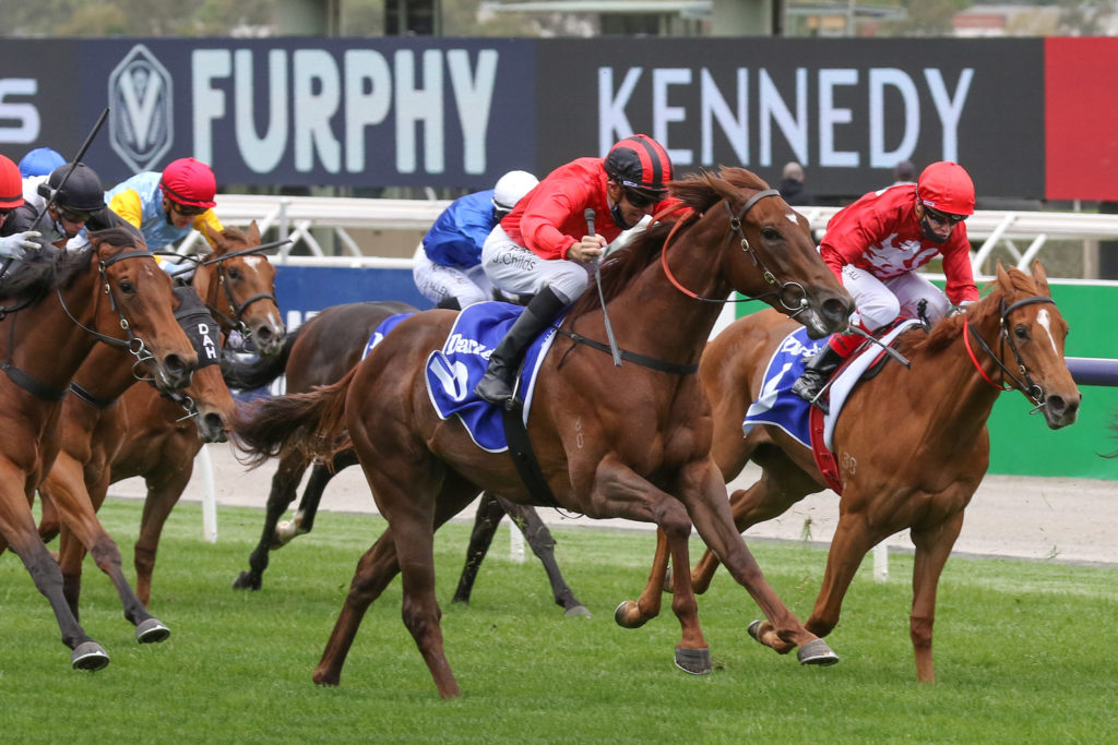 Dosh to chase the big bucks in Blue Diamond Stakes