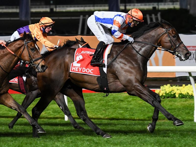 FLEMINGTON | Just Horse Racing