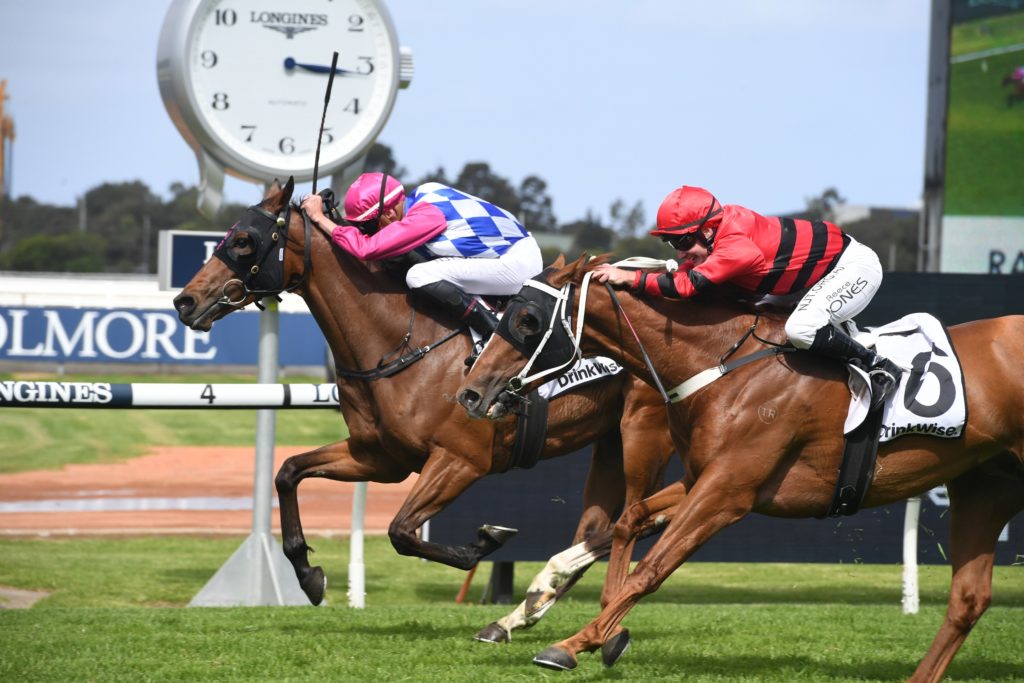 Fast Talking 07112020 5325 | Just Horse Racing