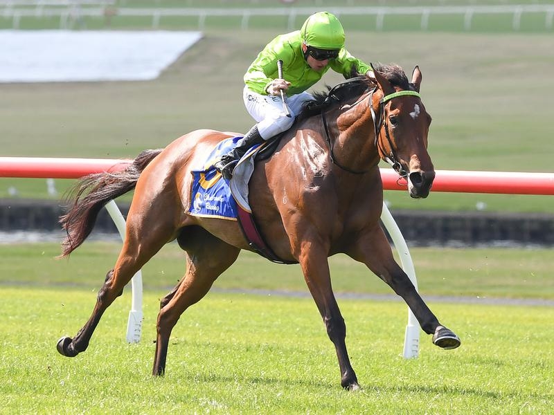Gallops Ballarat | Just Horse Racing