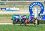 Warrnambool Races