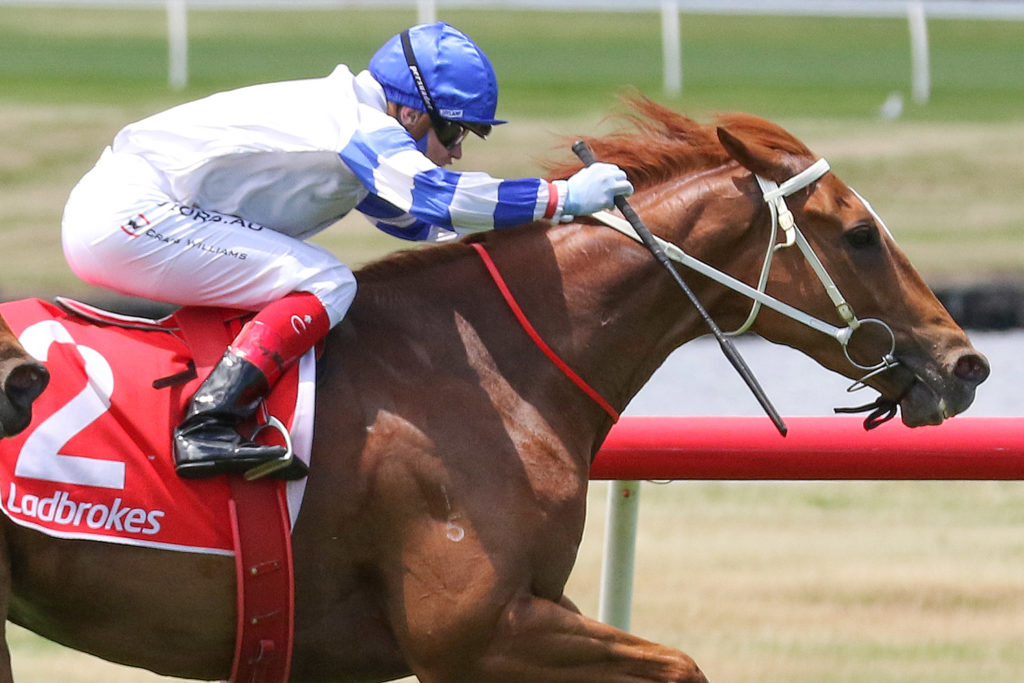 Kemalpasa on track for The Goodwood - Vimarsana News