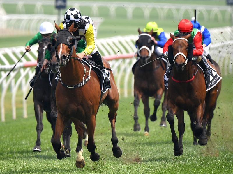 Kembla | Just Horse Racing
