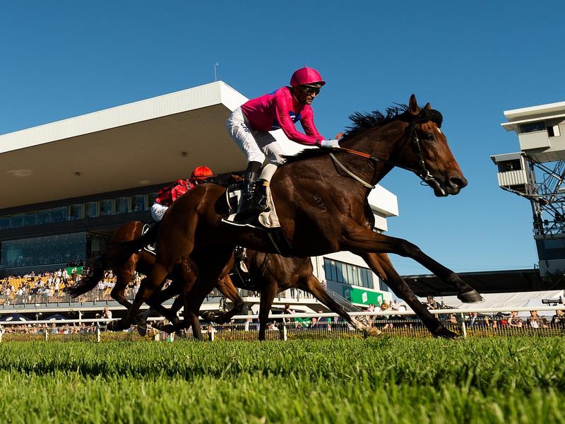 Kembla | Just Horse Racing