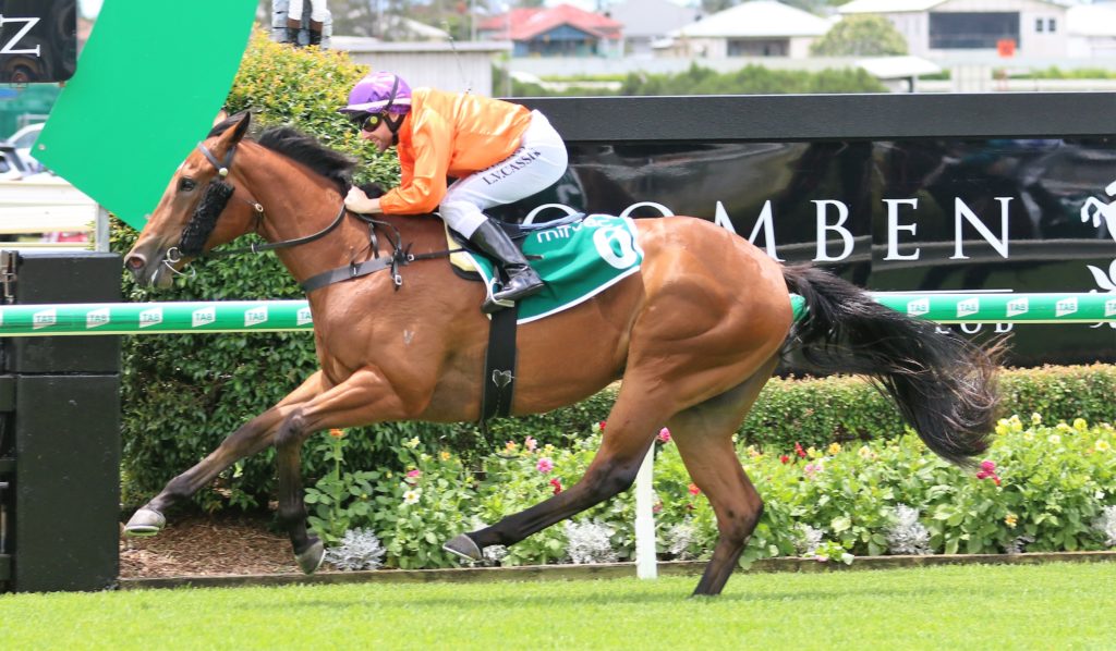 Miss Hipstar (2) | Just Horse Racing